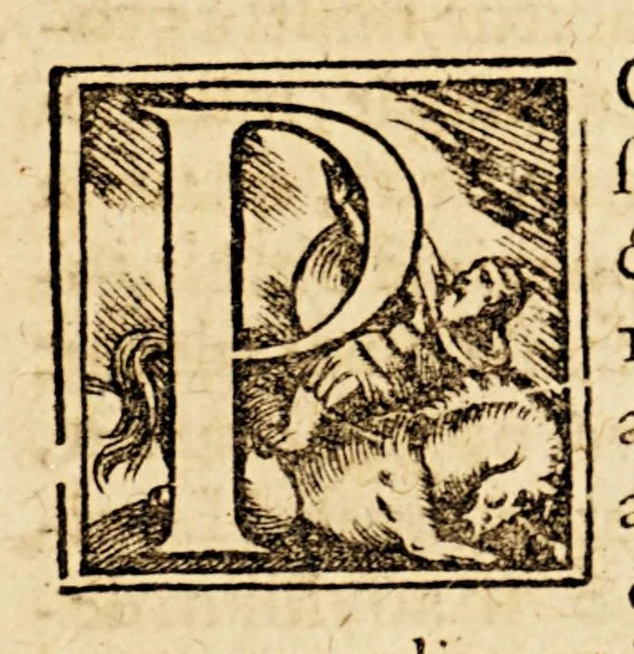 An illustration from Narrationes duæ admodum memorabiles, : quarum prima continet diarium expeditionis Francisci Draki equitis Angli in Indias Occidentales suscepæ, anno MDLXXXV. Altera omnium rerum ab eodem Drako et Norreysio in Lusitanica irruptione gestarum fidelem continuationem subjicit, 1590, leaf 31