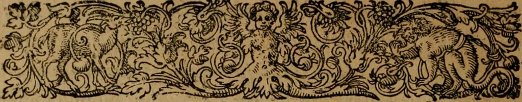 An illustration from Narratio regionum indicarum per Hispanos quosdam devastatarum verissima, 1614, leaf 9