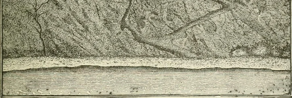An illustration from Narrative and critical history of America, 1884, leaf 466