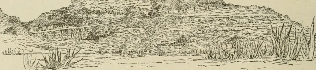 An illustration from Narrative and critical history of America, 1884, leaf 235