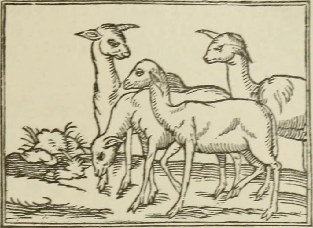 An illustration from Narrative and critical history of America, 1884, leaf 270