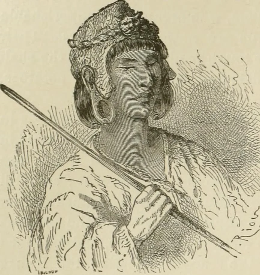 An illustration from Narrative and critical history of America, 1884, leaf 285