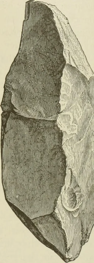 An illustration from Narrative and critical history of America, 1884, leaf 388