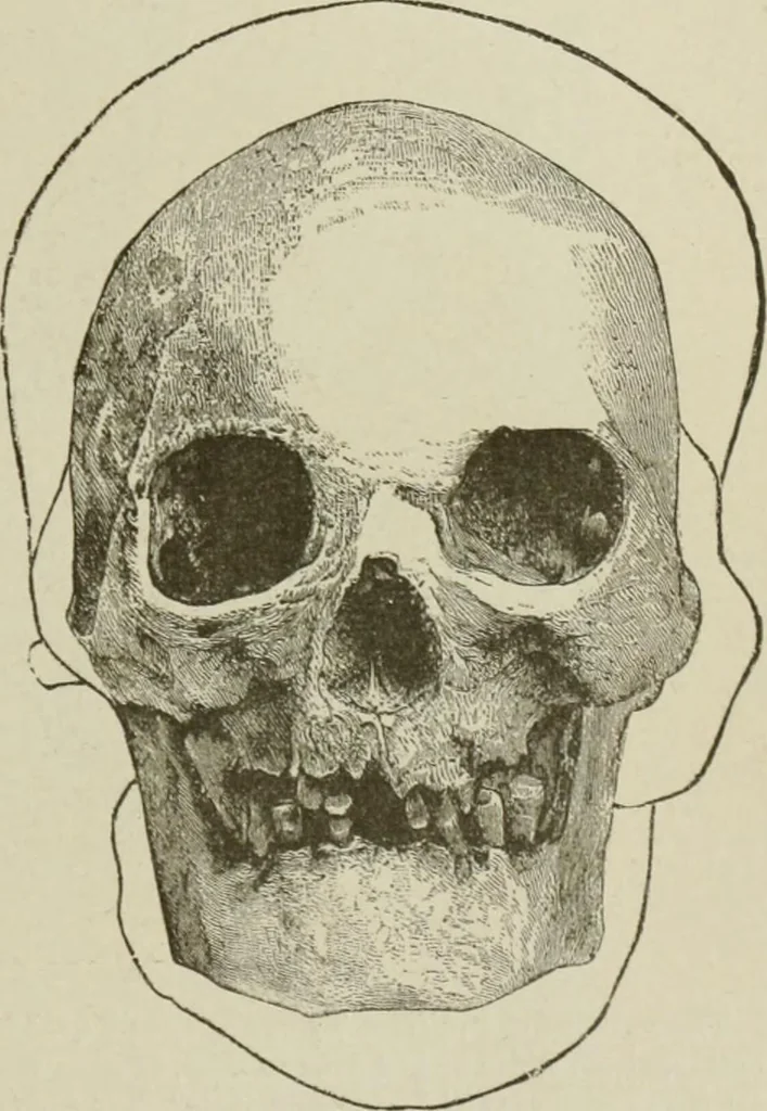 An illustration from Narrative and critical history of America, 1884, leaf 434