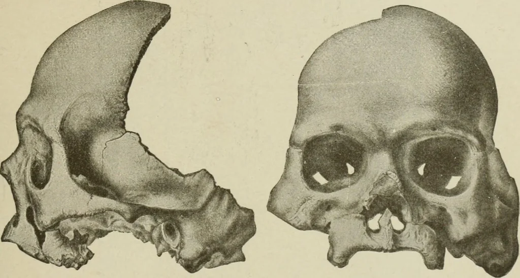 An illustration from Narrative and critical history of America, 1884, leaf 442