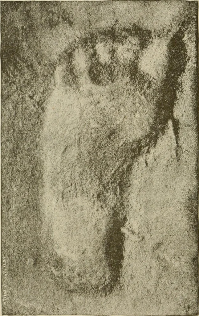 An illustration from Narrative and critical history of America, 1884, leaf 443