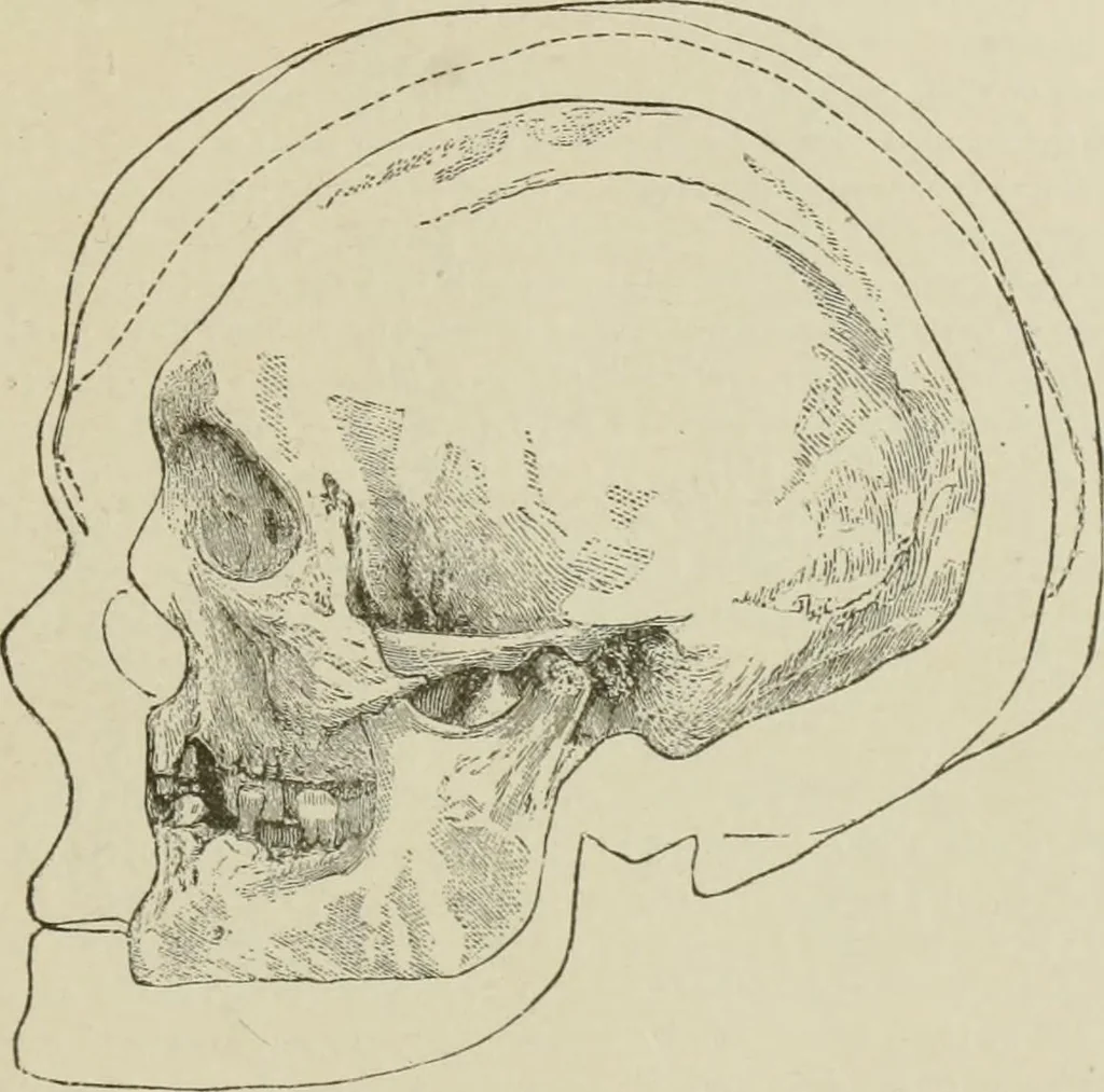 An illustration from Narrative and critical history of America, 1884, leaf 446