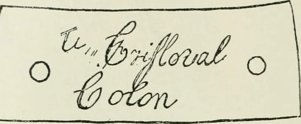 An illustration from Narrative and critical history of America, 1884, leaf 107