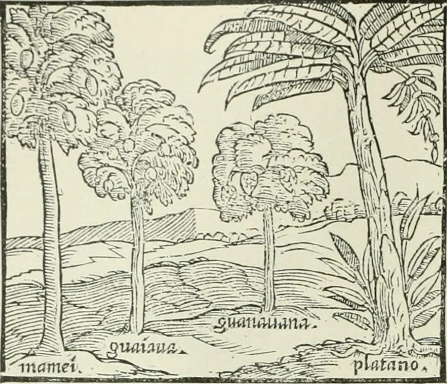 An illustration from Narrative and critical history of America, 1884, leaf 41