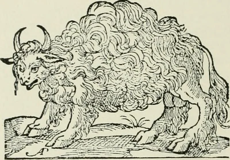 An illustration from Narrative and critical history of America, 1884, leaf 519