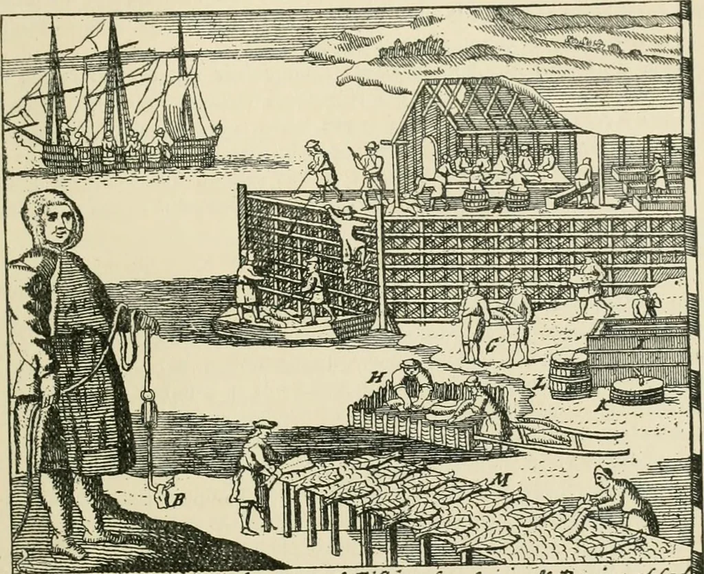 An illustration from Narrative and critical history of America, 1884, leaf 50