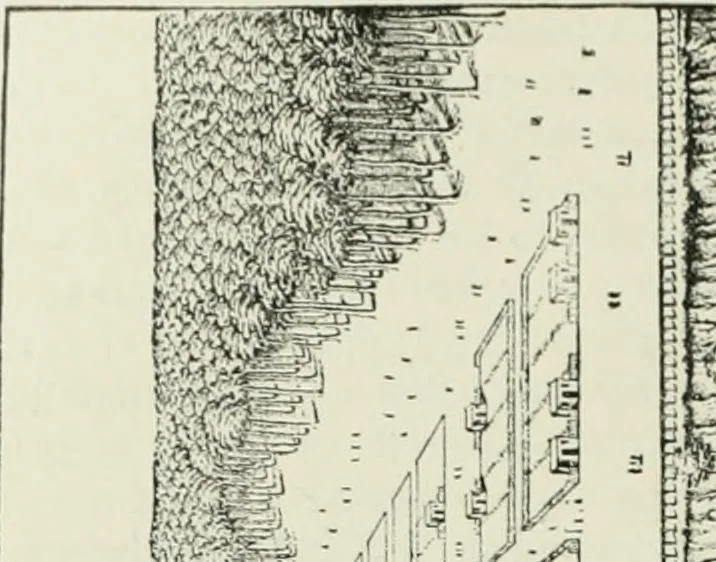 An illustration from Narrative and critical history of America, 1884, leaf 391