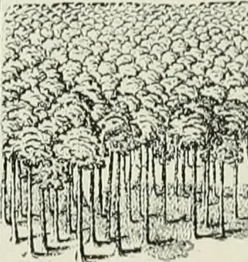 An illustration from Narrative and critical history of America, 1884, leaf 391