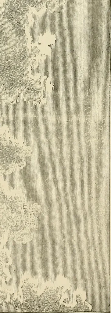 An illustration from Narrative and critical history of America, 1884, leaf 616