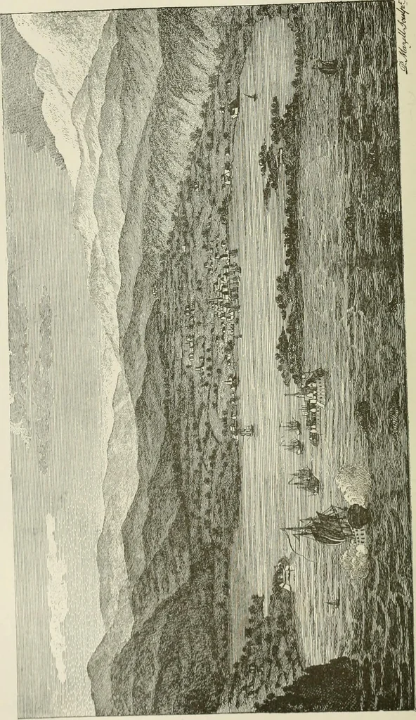 An illustration from Narrative and critical history of America, 1884, leaf 293