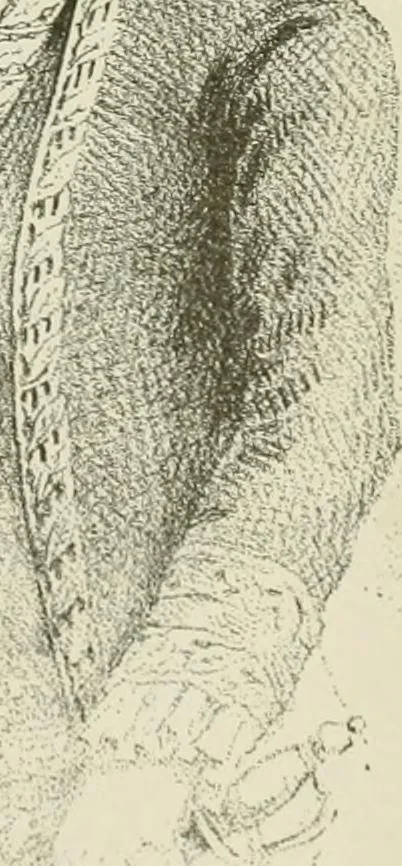 An illustration from Narrative and critical history of America, 1884, leaf 337