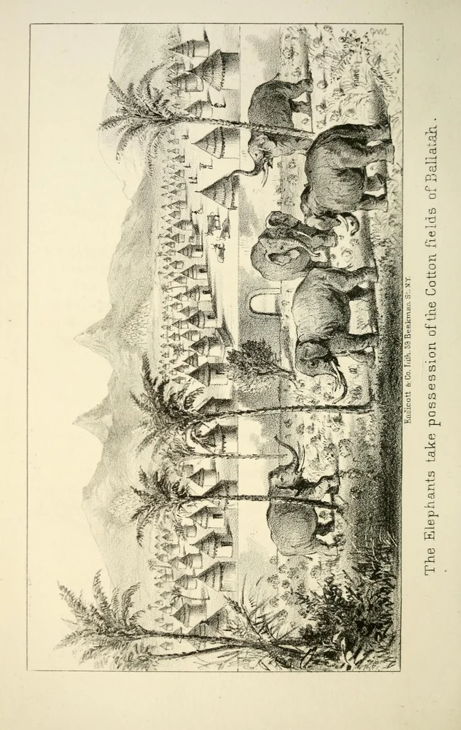 An illustration from Narrative of a journey to Musardu, the capital of the western Mandingoes, 1870, leaf 90