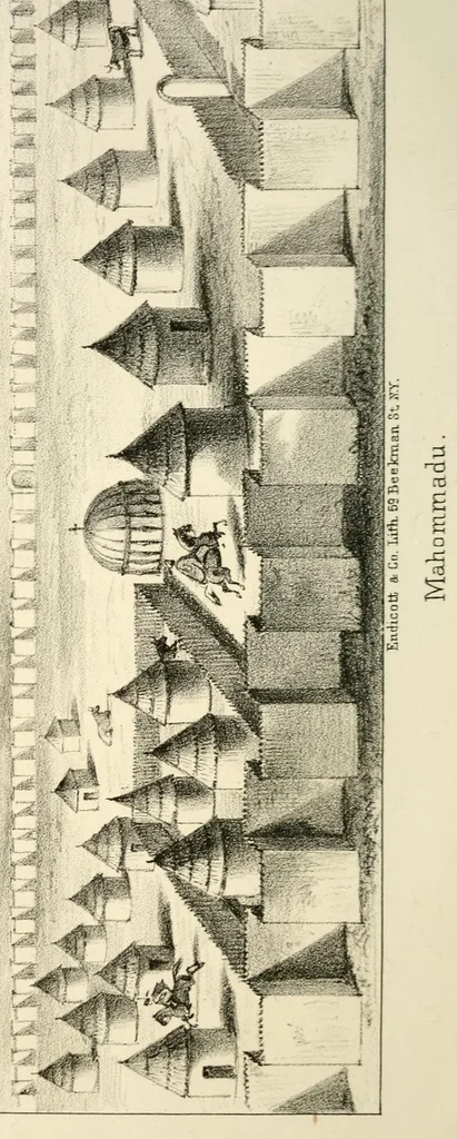 An illustration from Narrative of a journey to Musardu, the capital of the western Mandingoes, 1870, leaf 96