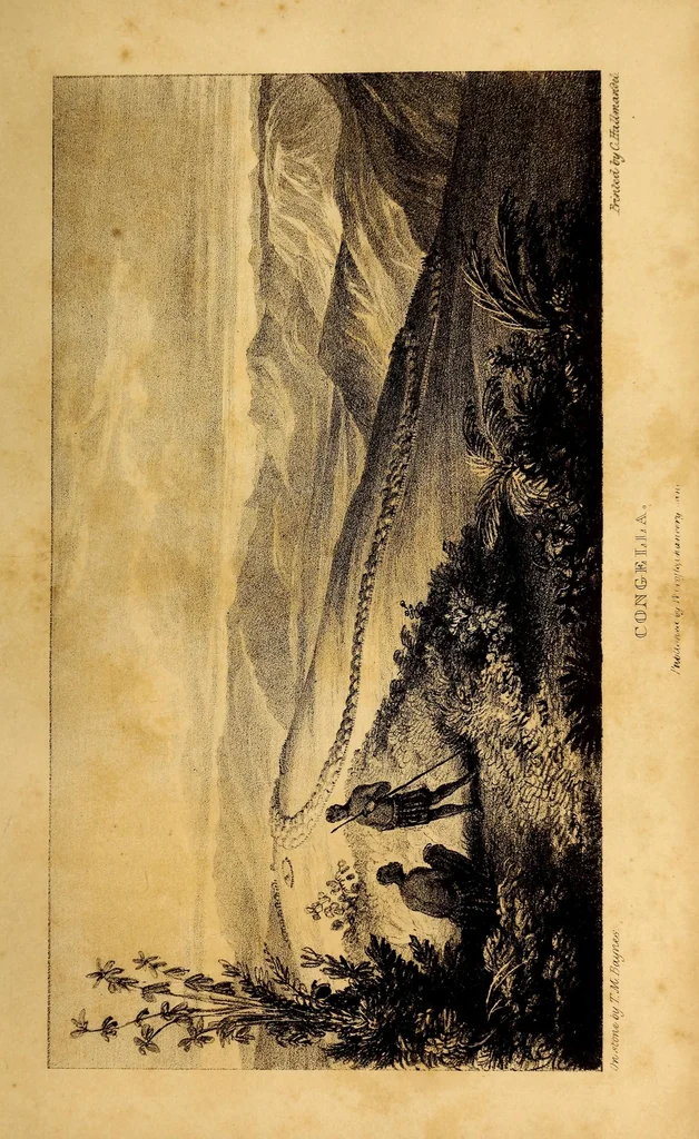 An illustration from Narrative of a journey to the Zoolu country, in South Africa, 1836, leaf 181