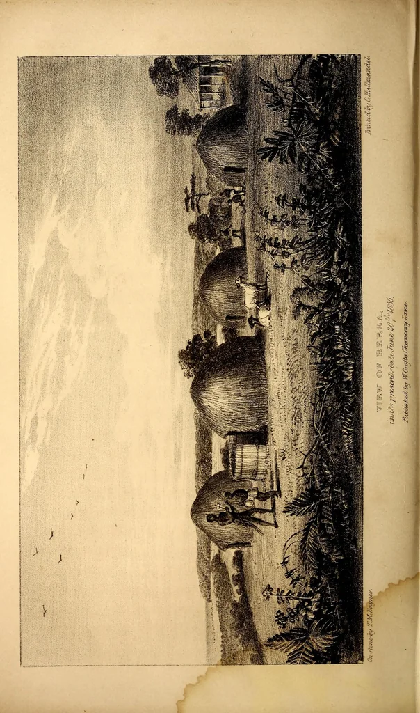 An illustration from Narrative of a journey to the Zoolu country, in South Africa, 1836, leaf 384