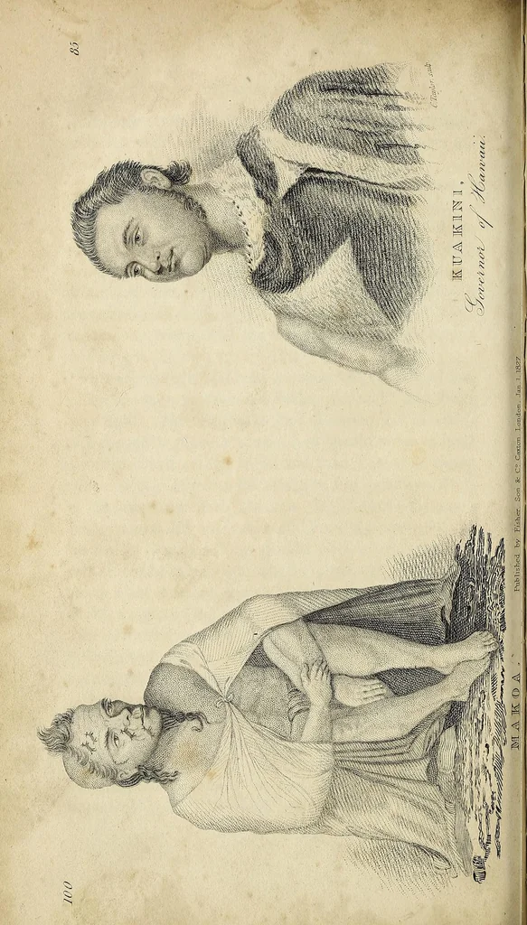 An illustration from Narrative of a tour through Hawaii, or Owhyhee with observations on the natural history of the Sandwich Islands, and remarks on the manners, customs, traditions, history, and language of their inhabitants, 1827, leaf 110