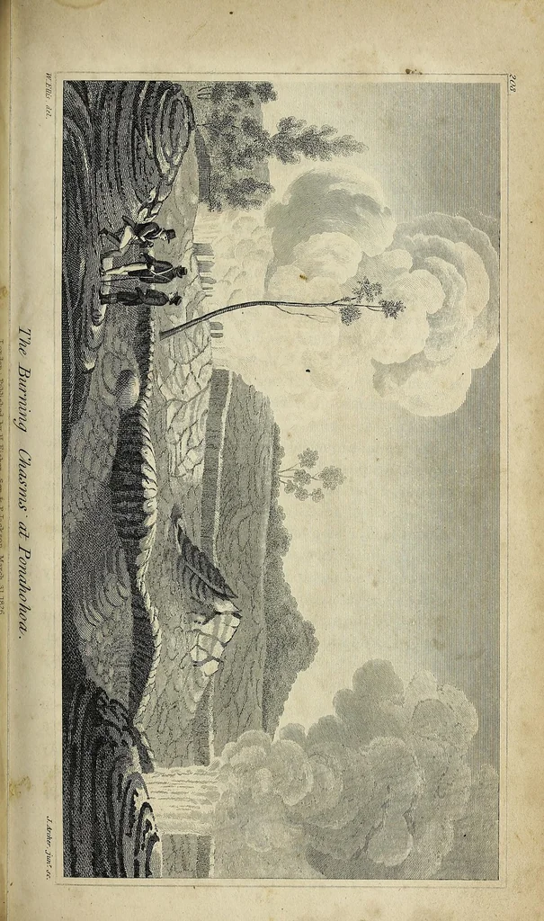 An illustration from Narrative of a tour through Hawaii, or Owhyhee with observations on the natural history of the Sandwich Islands, and remarks on the manners, customs, traditions, history, and language of their inhabitants, 1827, leaf 241
