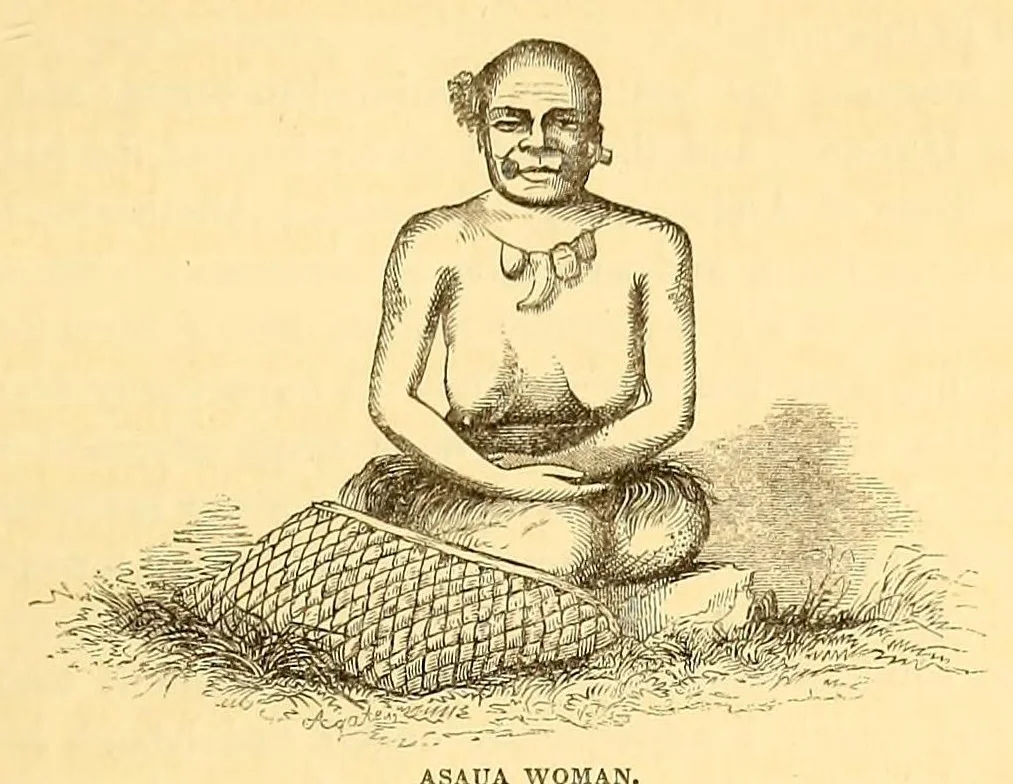 An illustration from Narrative of the United States exploring expedition during the years 1838, 1839, 1840, 1841, 1842, 1845, leaf 303