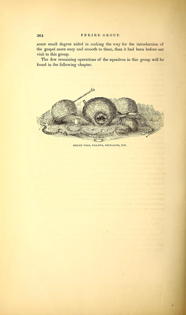 An illustration from Narrative of the United States exploring expedition during the years 1838, 1839, 1840, 1841, 1842, 1845, leaf 414