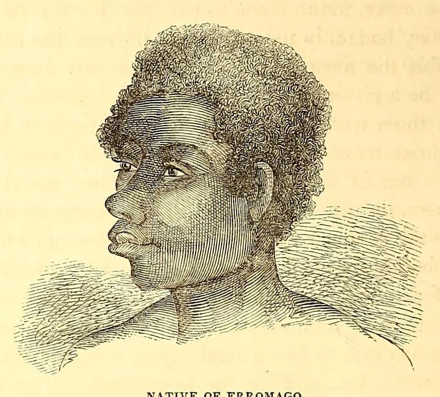 An illustration from Narrative of the United States exploring expedition during the years 1838, 1839, 1840, 1841, 1842, 1845, leaf 50