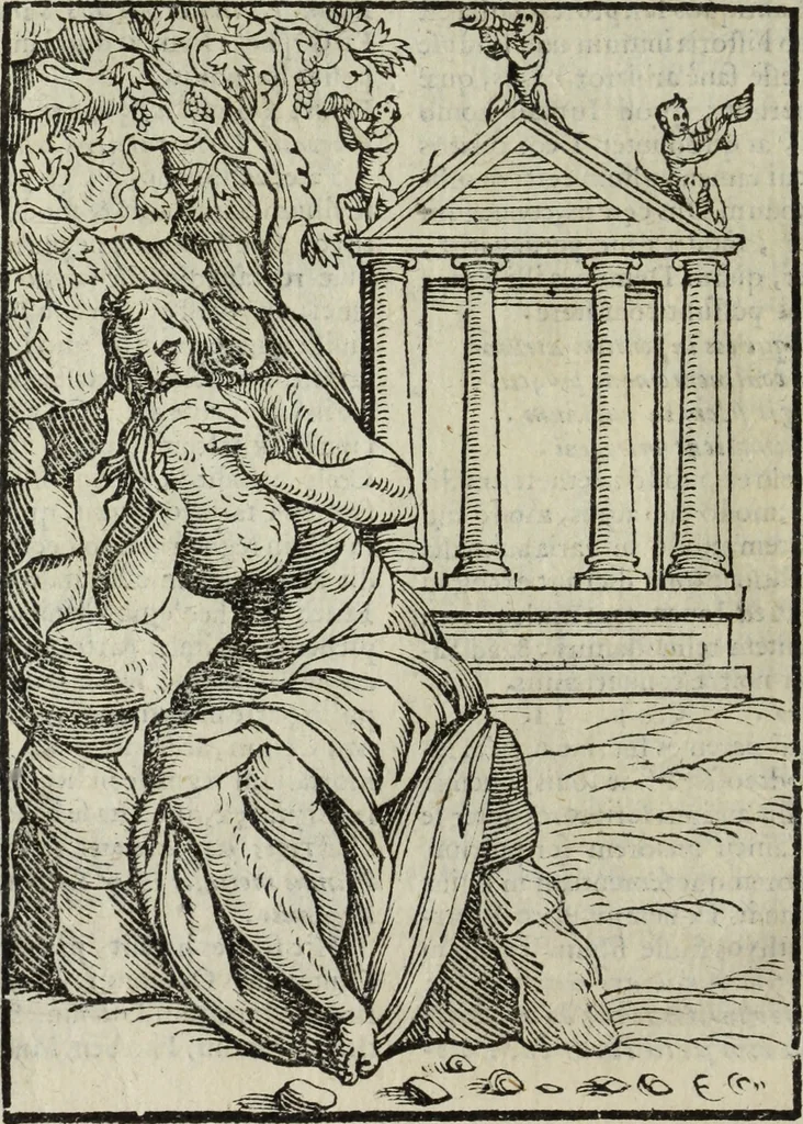 An illustration from Natalis Comitis Mythologiae, siue, Explicationis fabularum libri decem; in quibvs omnia prope naturalis et moralis philosophiae dogmata in veterum fabulis contenta fuisse perspicuè demonstratur, 1616, leaf 105