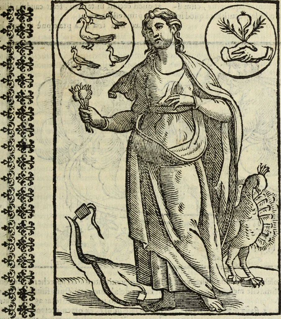 An illustration from Natalis Comitis Mythologiae, siue, Explicationis fabularum libri decem; in quibvs omnia prope naturalis et moralis philosophiae dogmata in veterum fabulis contenta fuisse perspicuè demonstratur, 1616, leaf 116