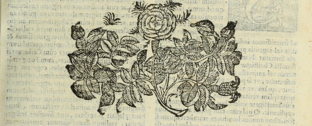 An illustration from Natalis Comitis Mythologiae, siue, Explicationis fabularum libri decem; in quibvs omnia prope naturalis et moralis philosophiae dogmata in veterum fabulis contenta fuisse perspicuè demonstratur, 1616, leaf 144