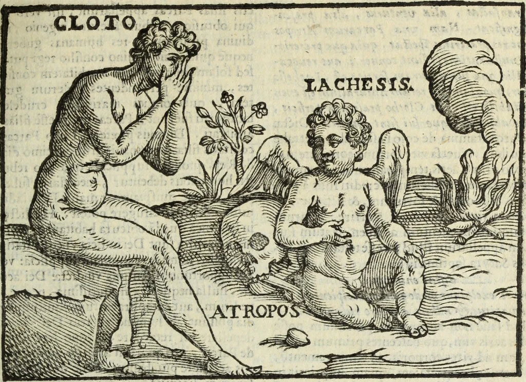 An illustration from Natalis Comitis Mythologiae, siue, Explicationis fabularum libri decem; in quibvs omnia prope naturalis et moralis philosophiae dogmata in veterum fabulis contenta fuisse perspicuè demonstratur, 1616, leaf 156