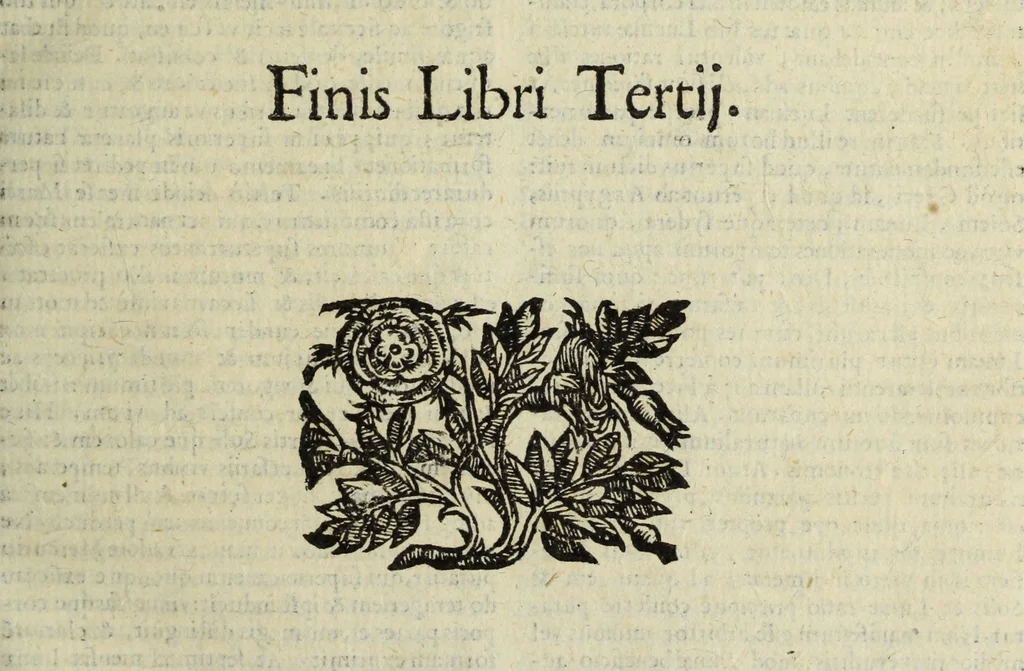 An illustration from Natalis Comitis Mythologiae, siue, Explicationis fabularum libri decem; in quibvs omnia prope naturalis et moralis philosophiae dogmata in veterum fabulis contenta fuisse perspicuè demonstratur, 1616, leaf 198