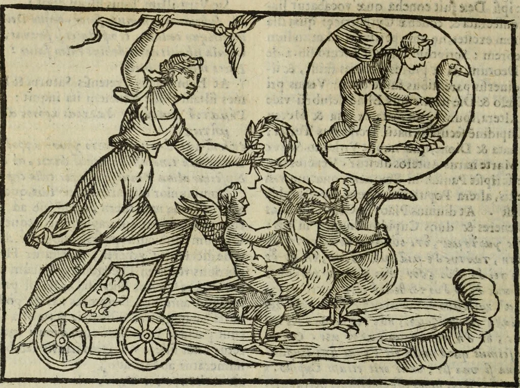 An illustration from Natalis Comitis Mythologiae, siue, Explicationis fabularum libri decem; in quibvs omnia prope naturalis et moralis philosophiae dogmata in veterum fabulis contenta fuisse perspicuè demonstratur, 1616, leaf 253