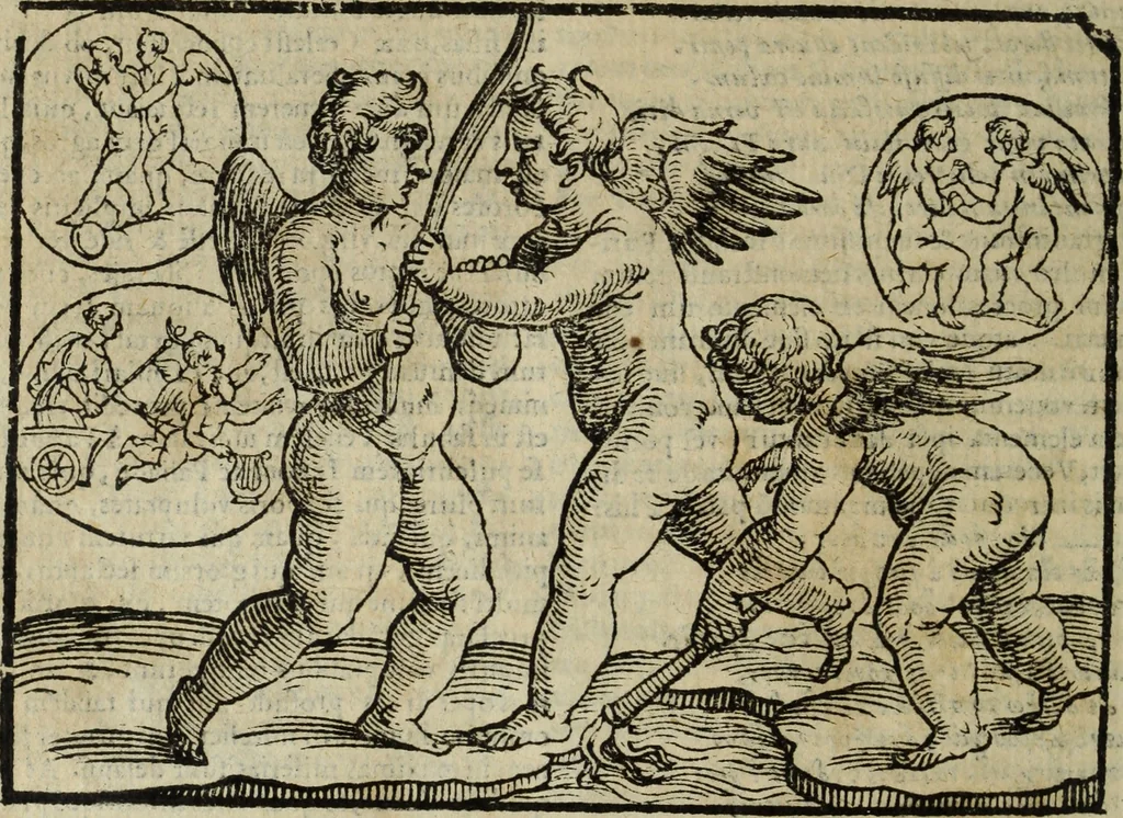 An illustration from Natalis Comitis Mythologiae, siue, Explicationis fabularum libri decem; in quibvs omnia prope naturalis et moralis philosophiae dogmata in veterum fabulis contenta fuisse perspicuè demonstratur, 1616, leaf 263