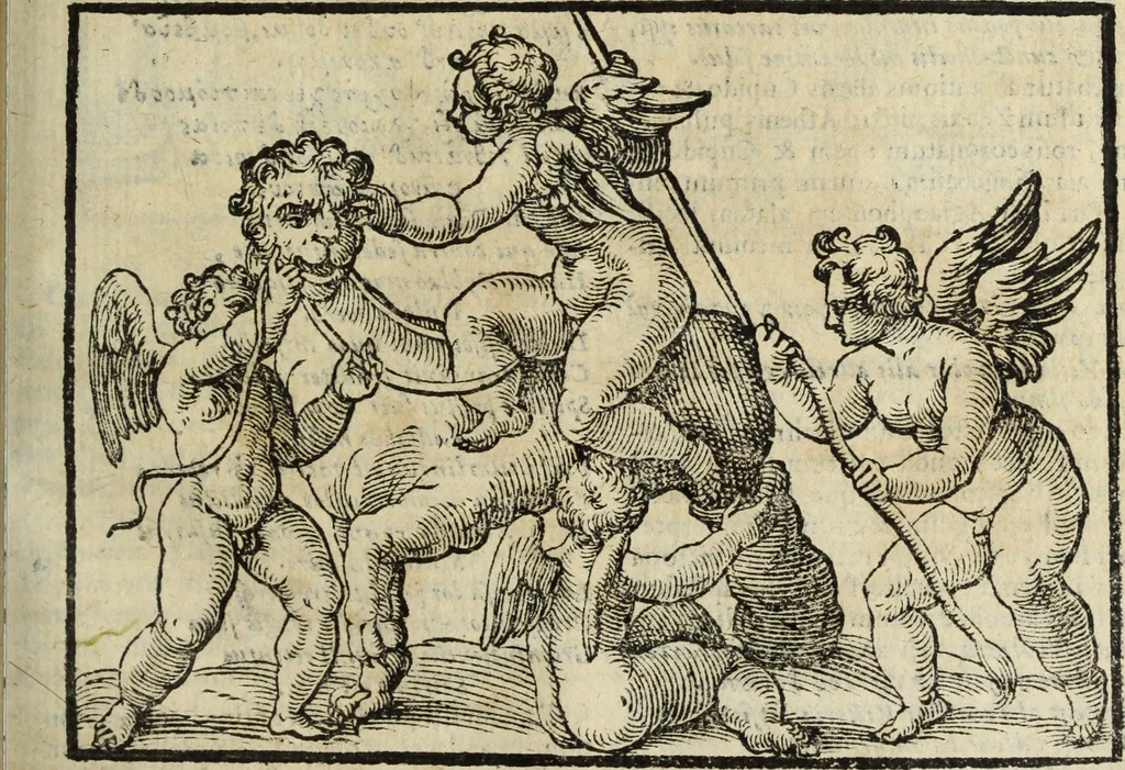 An illustration from Natalis Comitis Mythologiae, siue, Explicationis fabularum libri decem; in quibvs omnia prope naturalis et moralis philosophiae dogmata in veterum fabulis contenta fuisse perspicuè demonstratur, 1616, leaf 264