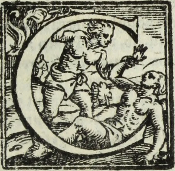 An illustration from Natalis Comitis Mythologiae, siue, Explicationis fabularum libri decem; in quibvs omnia prope naturalis et moralis philosophiae dogmata in veterum fabulis contenta fuisse perspicuè demonstratur, 1616, leaf 346