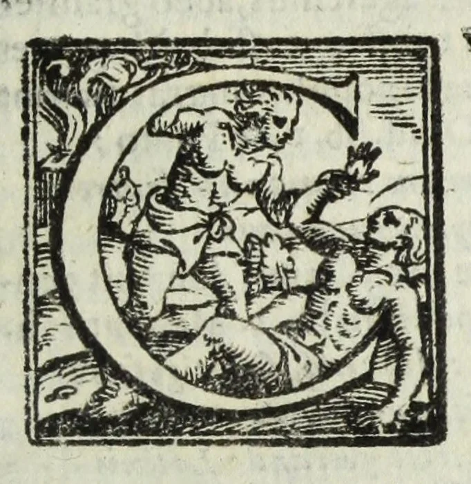 An illustration from Natalis Comitis Mythologiae, siue, Explicationis fabularum libri decem; in quibvs omnia prope naturalis et moralis philosophiae dogmata in veterum fabulis contenta fuisse perspicuè demonstratur, 1616, leaf 347