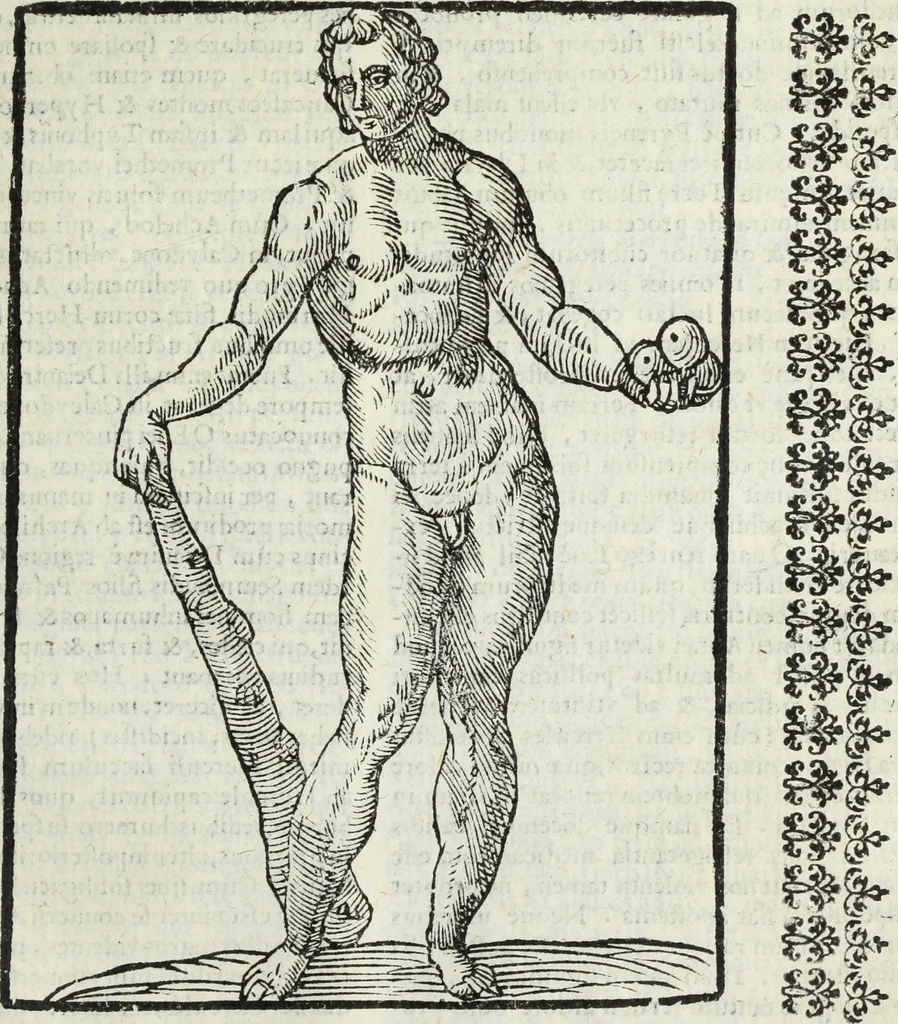 An illustration from Natalis Comitis Mythologiae, siue, Explicationis fabularum libri decem; in quibvs omnia prope naturalis et moralis philosophiae dogmata in veterum fabulis contenta fuisse perspicuè demonstratur, 1616, leaf 412