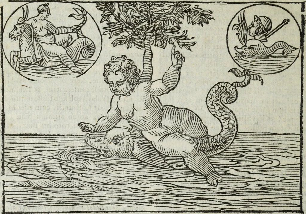 An illustration from Natalis Comitis Mythologiae, siue, Explicationis fabularum libri decem; in quibvs omnia prope naturalis et moralis philosophiae dogmata in veterum fabulis contenta fuisse perspicuè demonstratur, 1616, leaf 483