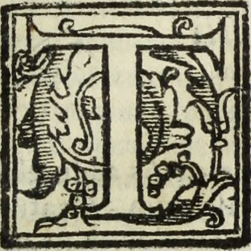 An illustration from Natalis Comitis Mythologiae, siue, Explicationis fabularum libri decem; in quibvs omnia prope naturalis et moralis philosophiae dogmata in veterum fabulis contenta fuisse perspicuè demonstratur, 1616, leaf 608