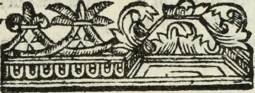 An illustration from Natalis Comitis Mythologiae, siue, Explicationis fabularum libri decem; in quibvs omnia prope naturalis et moralis philosophiae dogmata in veterum fabulis contenta fuisse perspicuè demonstratur, 1616, leaf 628