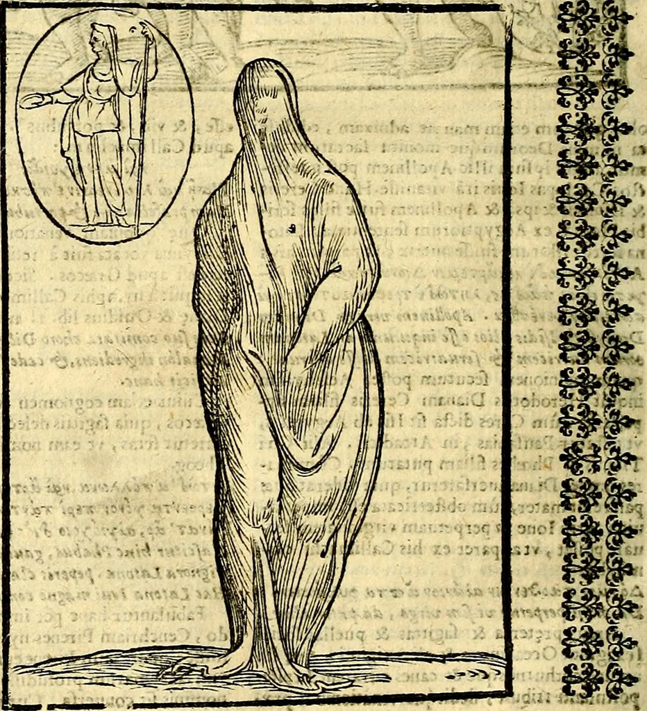 An illustration from Natalis Comitis Mythologiae sive Explicationis fabvlarvm libri decem, in qvibvs omnia prope natvralis et moralis philosophiæ dogmata in veterum fabulis contenta fuisse perspicuè demonstratur, 1616, leaf 185