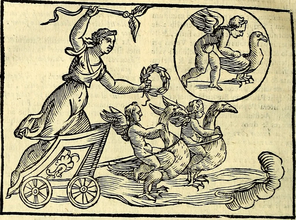 An illustration from Natalis Comitis Mythologiae sive Explicationis fabvlarvm libri decem, in qvibvs omnia prope natvralis et moralis philosophiæ dogmata in veterum fabulis contenta fuisse perspicuè demonstratur, 1616, leaf 251