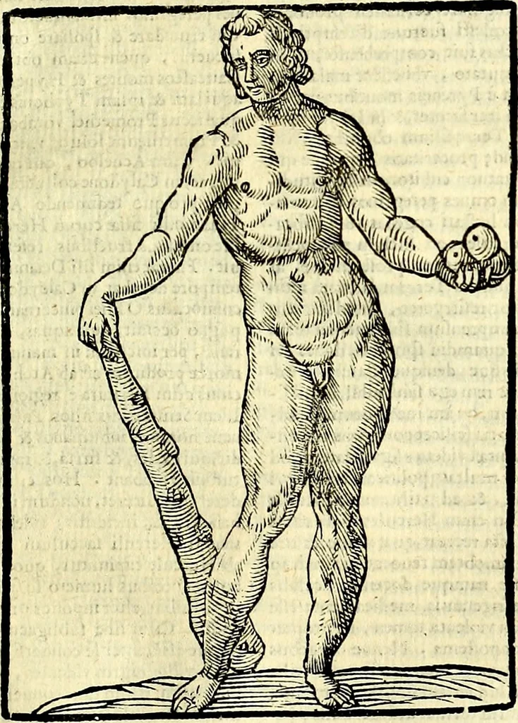 An illustration from Natalis Comitis Mythologiae sive Explicationis fabvlarvm libri decem, in qvibvs omnia prope natvralis et moralis philosophiæ dogmata in veterum fabulis contenta fuisse perspicuè demonstratur, 1616, leaf 410