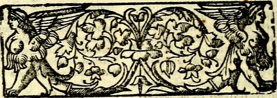 An illustration from Natalis Comitis Mythologiae sive Explicationis fabvlarvm libri decem, in qvibvs omnia prope natvralis et moralis philosophiæ dogmata in veterum fabulis contenta fuisse perspicuè demonstratur, 1616, leaf 625