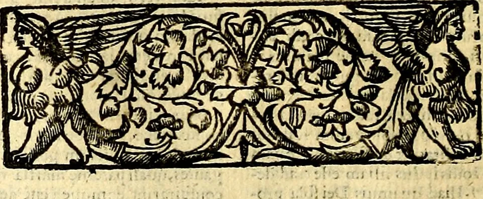 An illustration from Natalis Comitis Mythologiae sive Explicationis fabvlarvm libri decem, in qvibvs omnia prope natvralis et moralis philosophiæ dogmata in veterum fabulis contenta fuisse perspicuè demonstratur, 1616, leaf 81