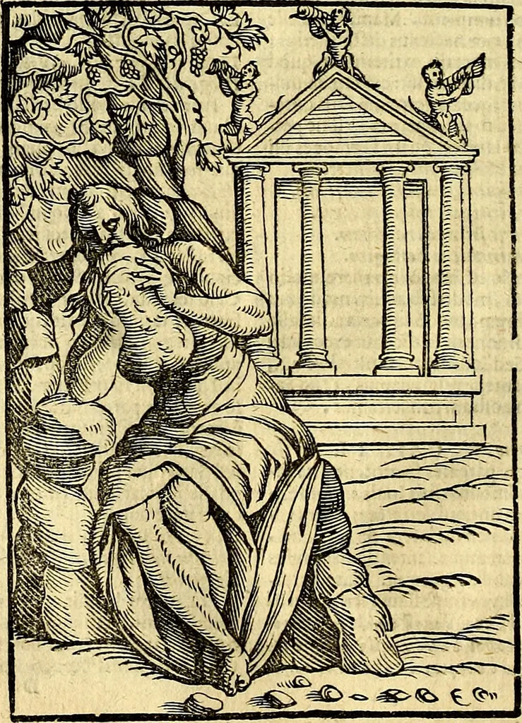 An illustration from Natalis Comitis Mythologiae, sive, Explicationis fabularum libri decem : in quibus omnia prope naturalis et moralis philosophiae dogmata in veterum fabulis contenta fuisse perspicuè demonstratur ... : accessit G. Linocerii Musarum mytholgia, & anonymi obseuationum in totam de dijs gentium narrationem libellus : adiectæ sunt ... editioni elegantissimæ deorum imagines, & eruditissimæ M. Antonij Tritonij Vtinensis .., 1637, leaf 103