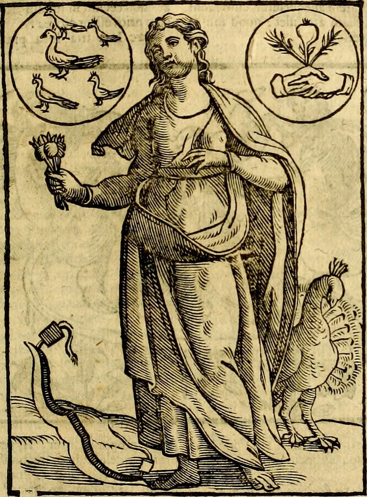 An illustration from Natalis Comitis Mythologiae, sive, Explicationis fabularum libri decem : in quibus omnia prope naturalis et moralis philosophiae dogmata in veterum fabulis contenta fuisse perspicuè demonstratur ... : accessit G. Linocerii Musarum mytholgia, & anonymi obseuationum in totam de dijs gentium narrationem libellus : adiectæ sunt ... editioni elegantissimæ deorum imagines, & eruditissimæ M. Antonij Tritonij Vtinensis .., 1637, leaf 114